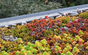 the cost of Swalwell green roof installation