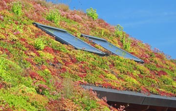 Swalwell living roof systems
