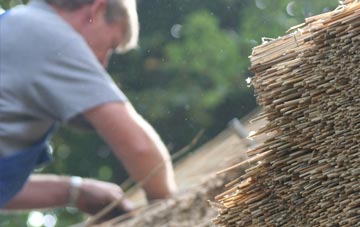 professional Swalwell thatchers